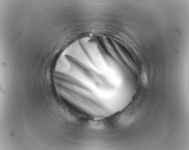 X0000090720520200708101556