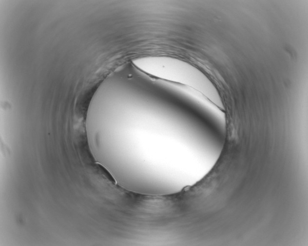 X0000090720521200708101556