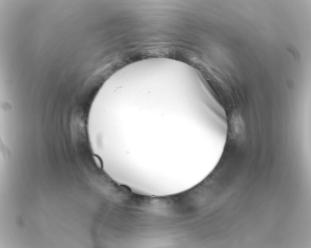 X0000090720522200708101556