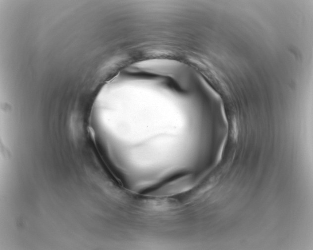 X0000090720524200708101556