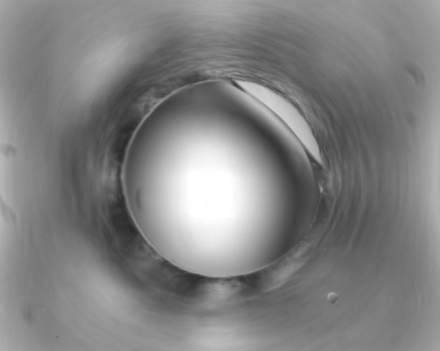 X0000090720525200708101556