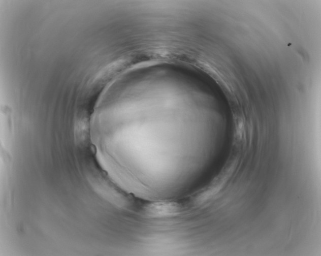 X0000090720526200708101556