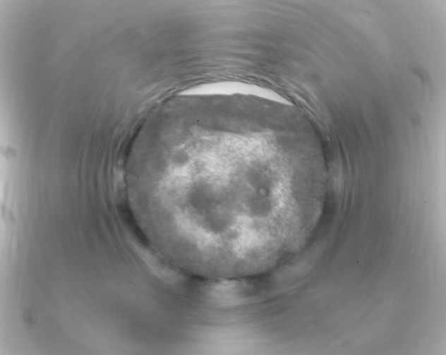 X0000090720527200708101556