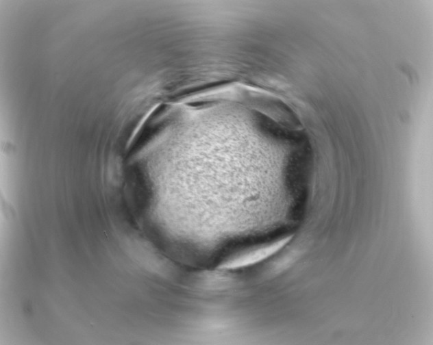 X0000090720528200708101556