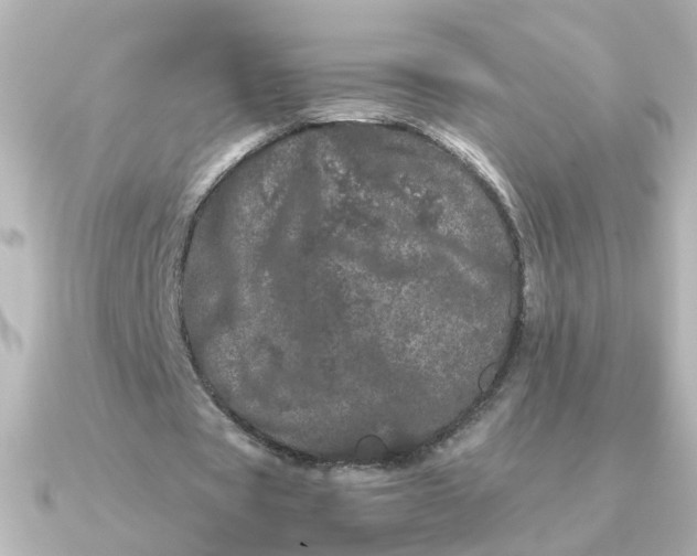 X0000090720529200708101555