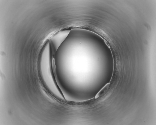 X0000090720530200708101555