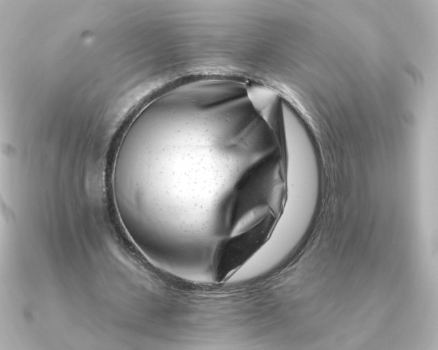 X0000090720531200708101555