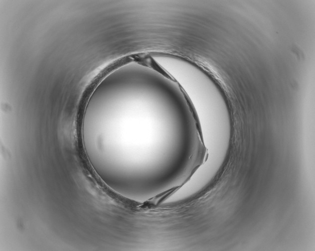 X0000090720532200708101555