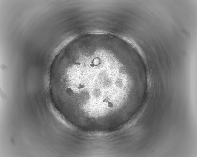 X0000090720533200708101555