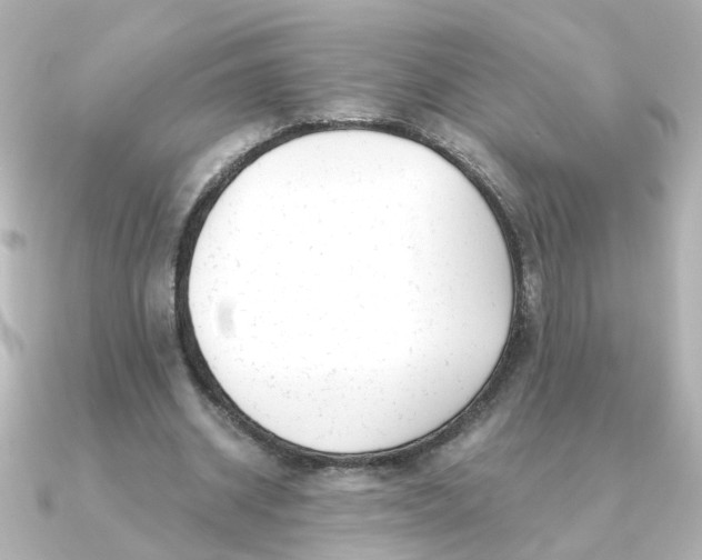 X0000090720534200708101555