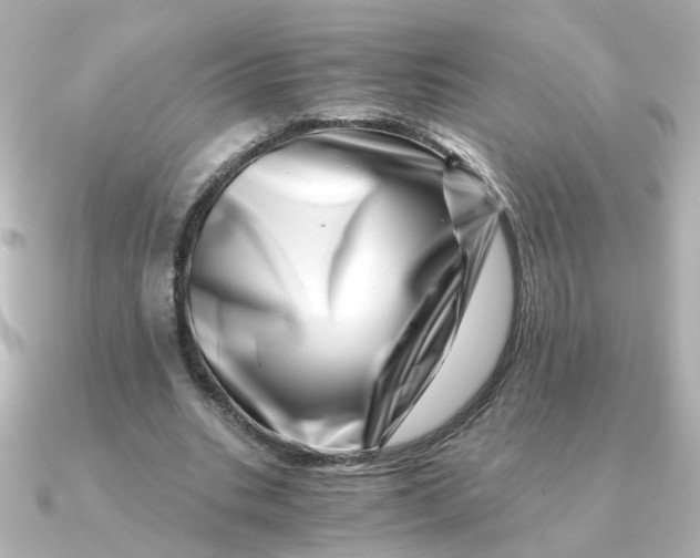 X0000090720535200708101555