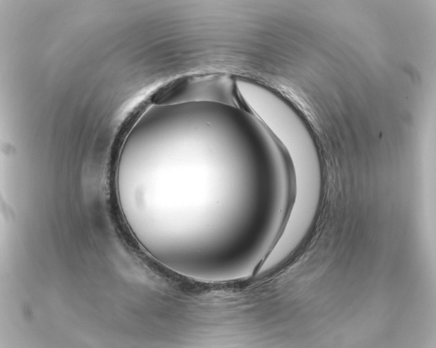 X0000090720536200708101555