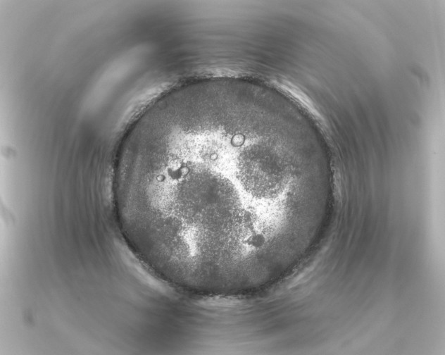 X0000090720537200708101555