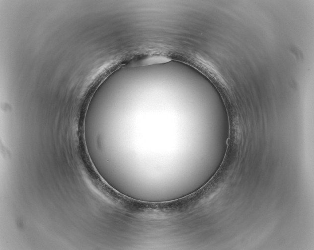 X0000090720538200708101555