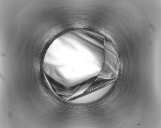 X0000090720539200708101555