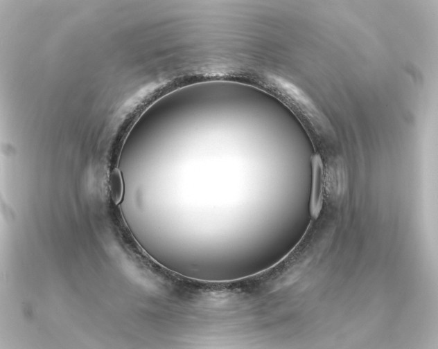 X0000090720540200708101555