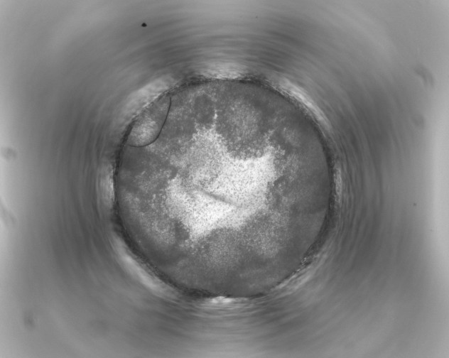 X0000090720541200708101555