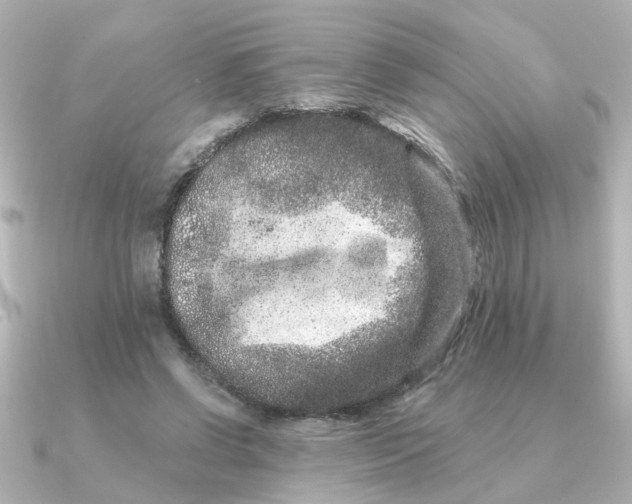 X0000090720542200708101555