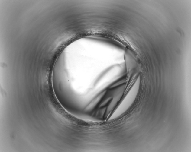 X0000090720543200708101555