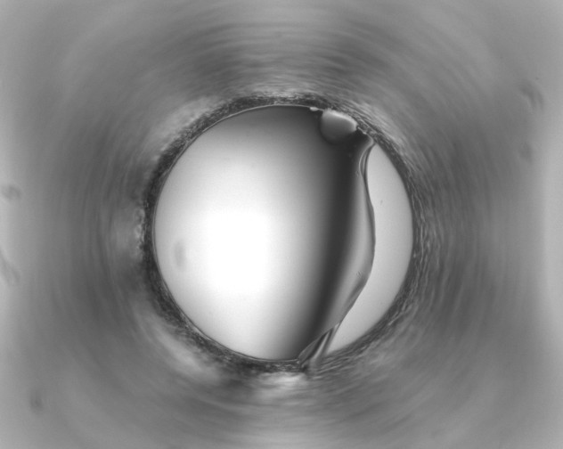 X0000090720544200708101555