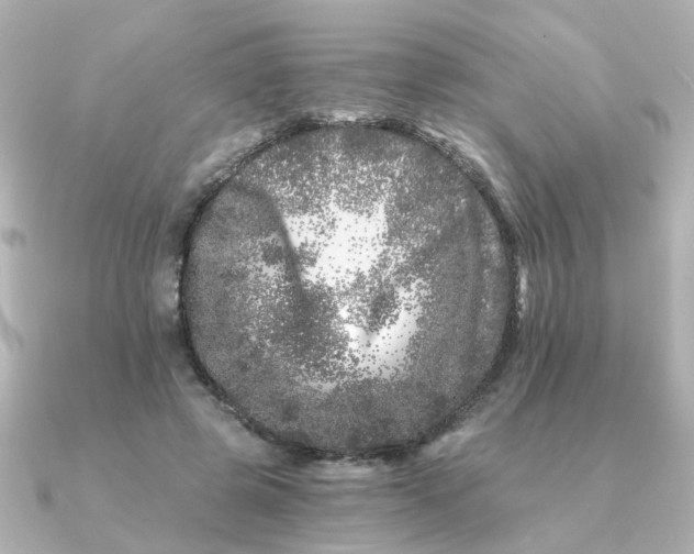 X0000090720545200708101555