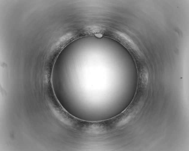 X0000090720546200708101555