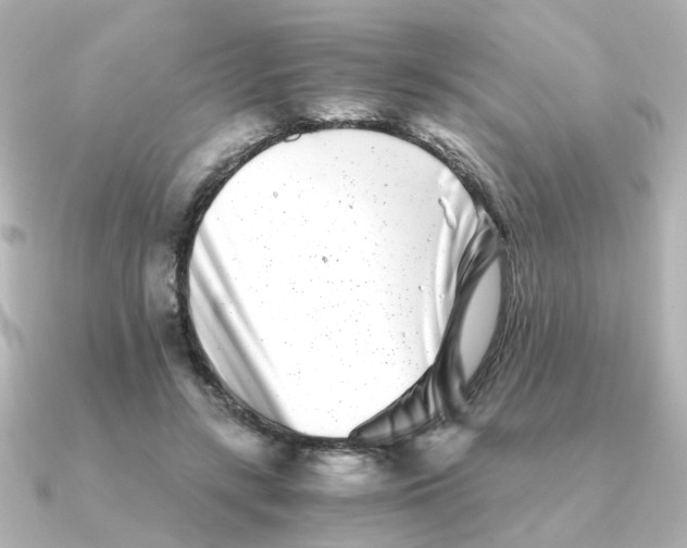 X0000090720547200708101555