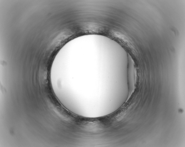 X0000090720548200708101555