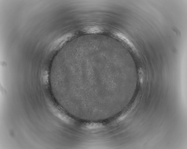 X0000090720549200708101555