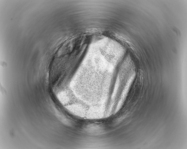 X0000090720550200708101555