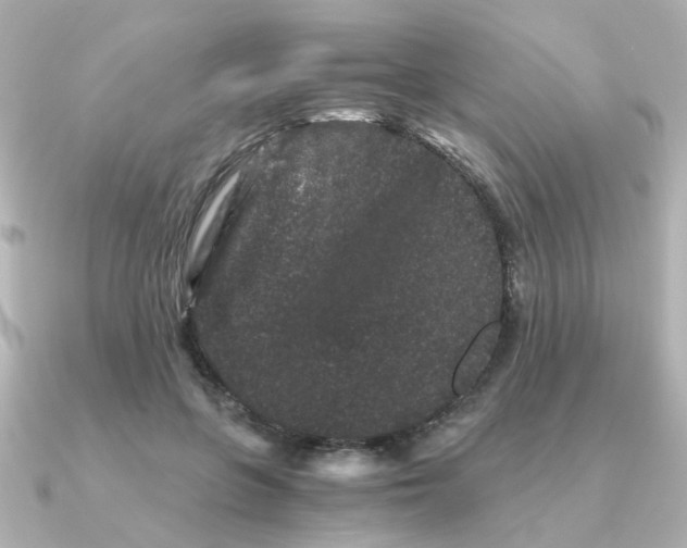 X0000090720551200708101555