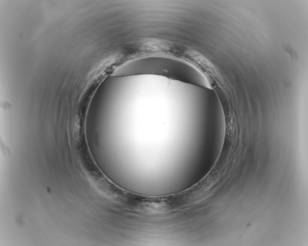 X0000090720552200708101555