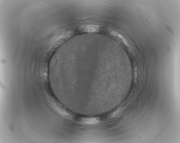 X0000090720553200708101555