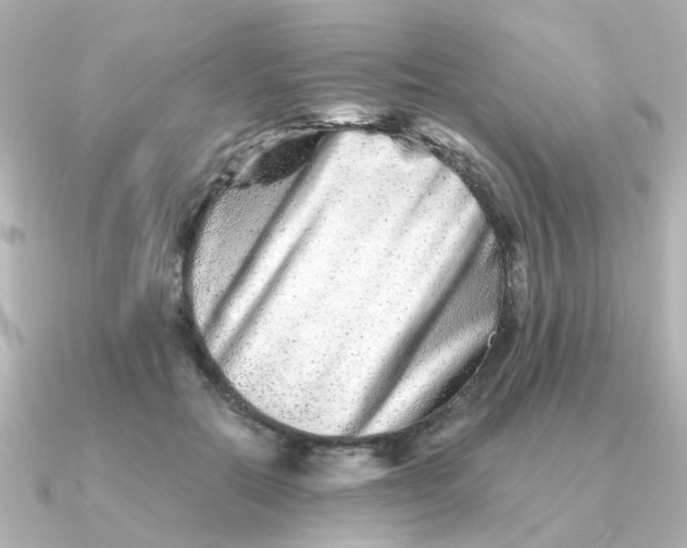 X0000090720554200708101555