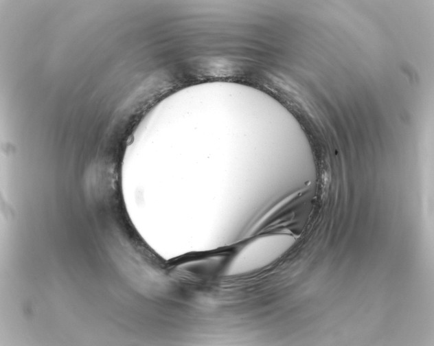 X0000090720555200708101555