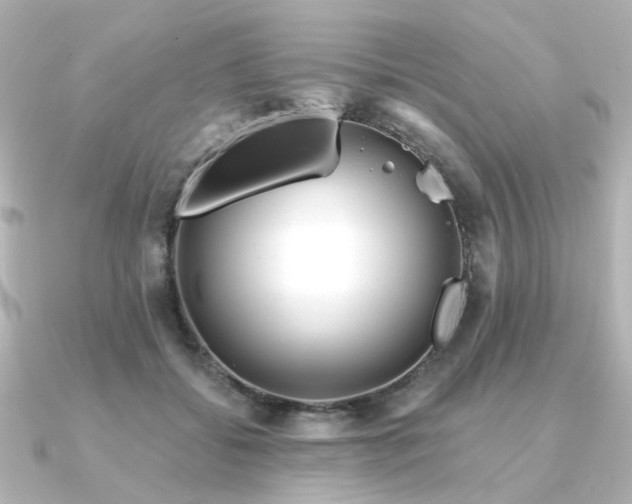 X0000090720556200708101555