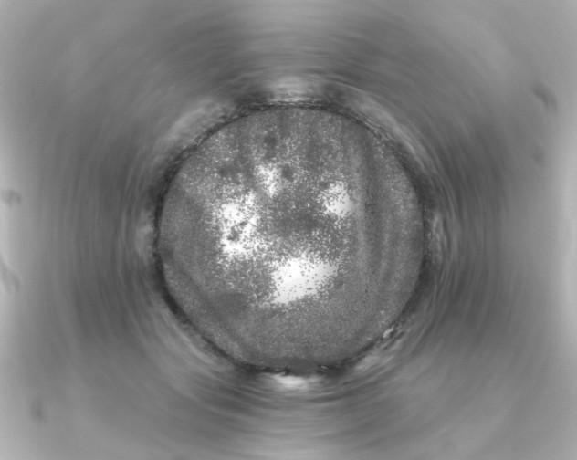 X0000090720557200708101555