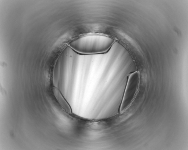 X0000090720558200708101555