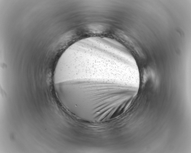 X0000090720559200708101555