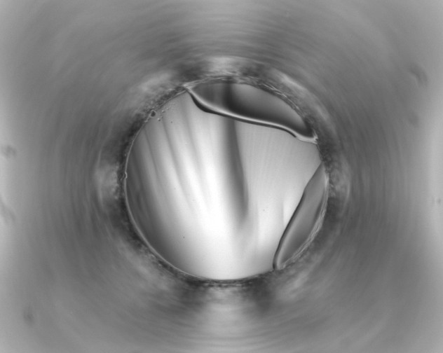 X0000090720560200708101555