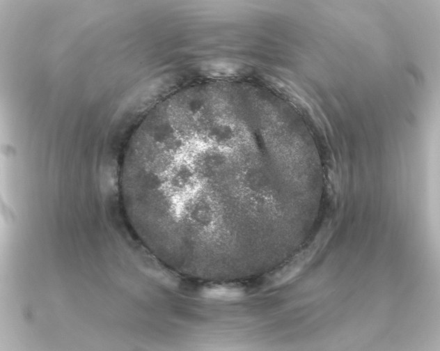 X0000090720561200708101555