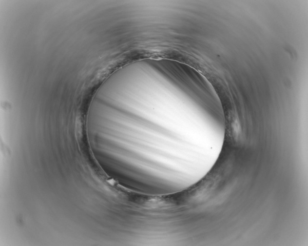 X0000090720562200708101555