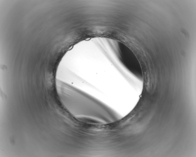 X0000090720563200708101555