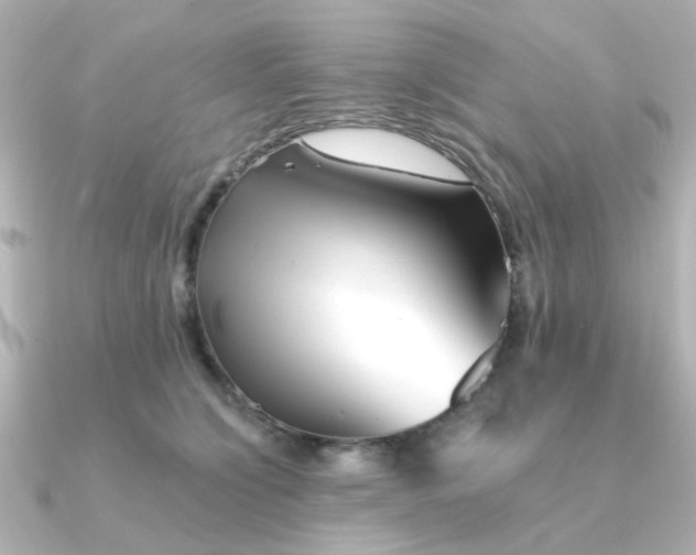 X0000090720564200708101555