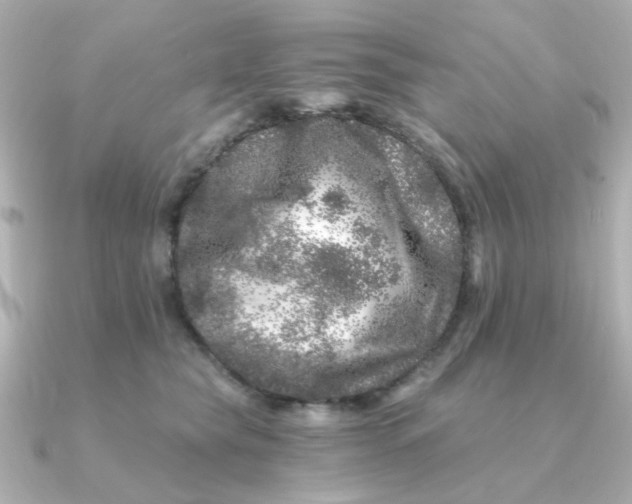 X0000090720565200708101555