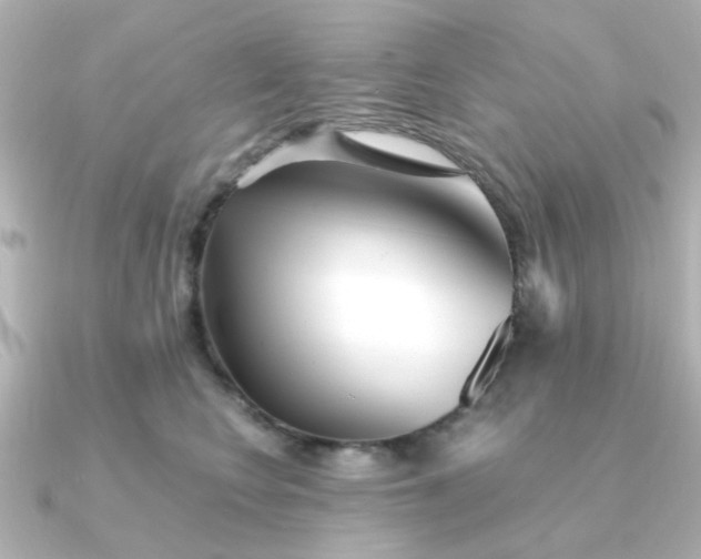 X0000090720566200708101555