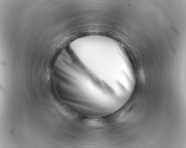 X0000090720567200708101555