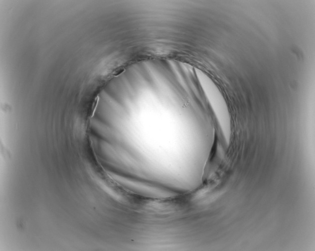 X0000090720568200708101555