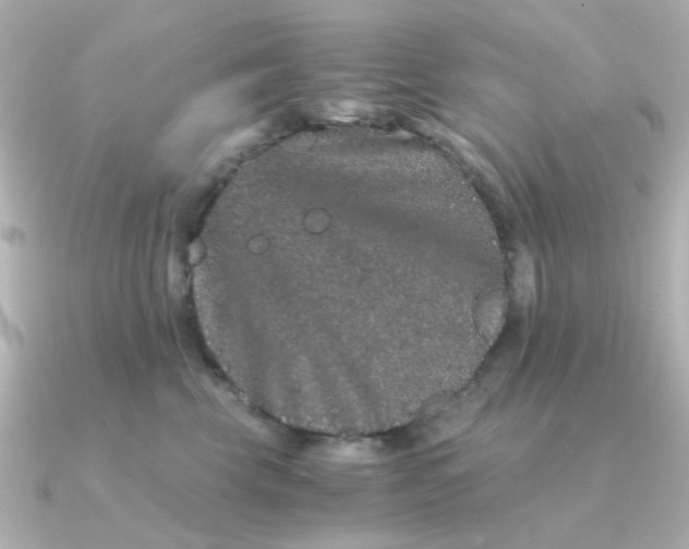 X0000090720569200708101555