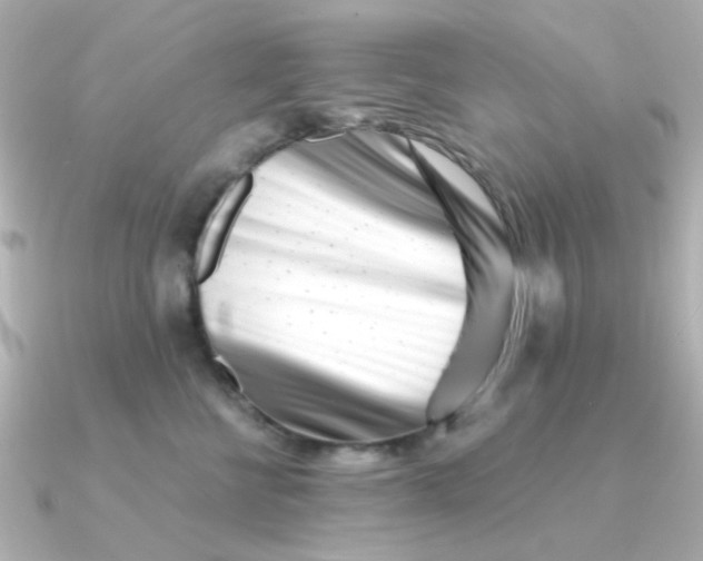 X0000090720570200708101555